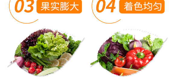 有機(jī)水溶肥料-多肽氮肥-一畫農(nóng)業(yè)_07