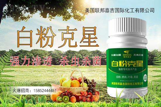 �����׷۲�����y�Է����������׷۲������ˎ����Ч������