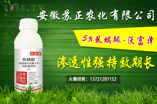 ʭ���嚢�xЧ��������ʭ��������ú͏���ʹ�÷�����