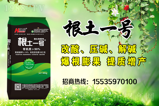     ΢��������е�΢������ʲô������΢�����������θ��������ģ�