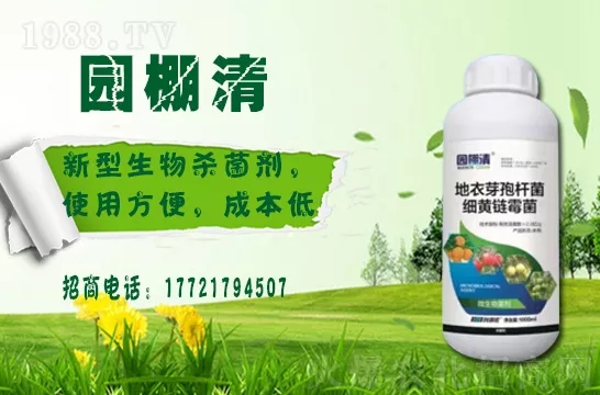 �������⛶�����Ч���Æ᣿���������������ֲ�￹����������