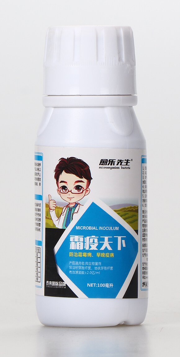 ΢�������-˪������-����(l��)����-̩��(l��i)��(gu��)�H1