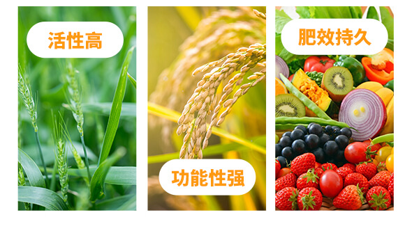 ��Ԫ��-ϲ�r��-�W��ɭ_04