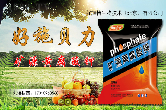 �󽪶����X(qi��n)һ�����󽪷Nֲǰ������������Nֲ���g(sh��)��