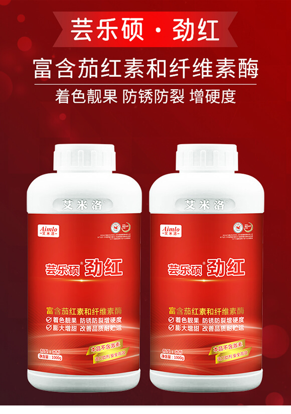 �|���T���żt-������_01