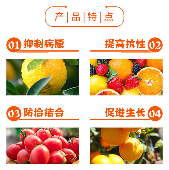 ΢�������-�����o(w��)�n-��������_04