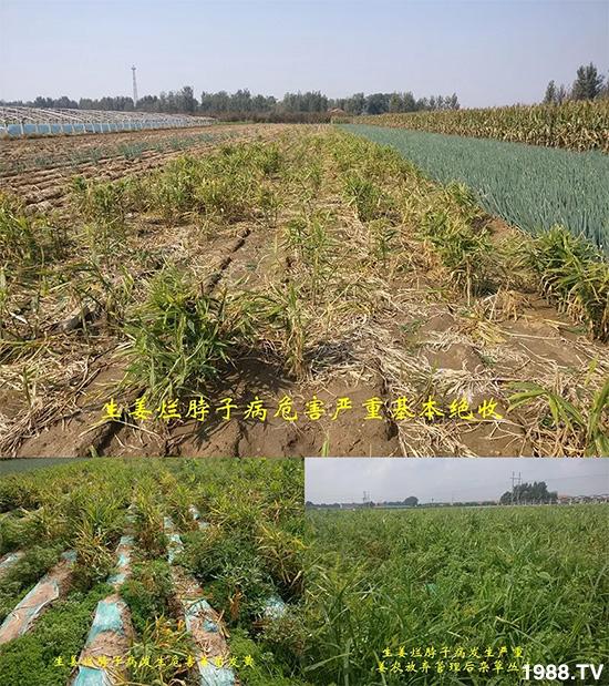     �l(f��)�������a(ch��n)Ʒ������أ�n������ʽ���ؠ����Ӳ����Ñ���������Ч�������ˣ�