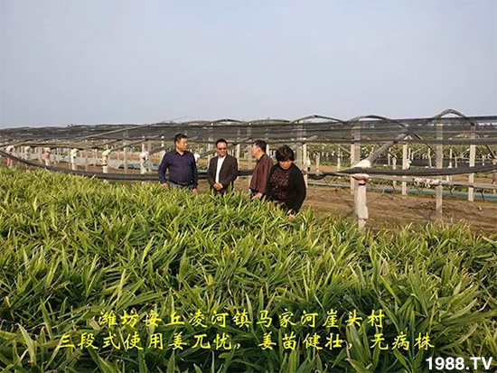     �l(f��)�������a(ch��n)Ʒ������أ�n������ʽ���ؠ����Ӳ����Ñ���������Ч����������