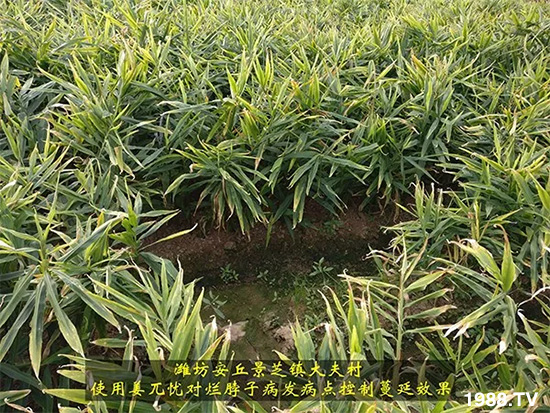     �l(f��)�������a(ch��n)Ʒ������أ�n������ʽ���ؠ����Ӳ����Ñ���������Ч�������ˣ�