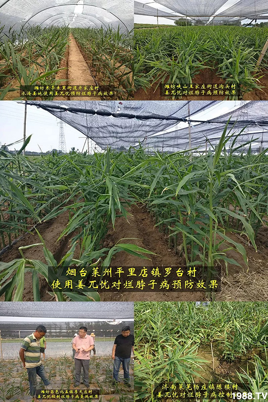     �l(f��)�������a(ch��n)Ʒ������أ�n������ʽ���ؠ����Ӳ����Ñ���������Ч����������