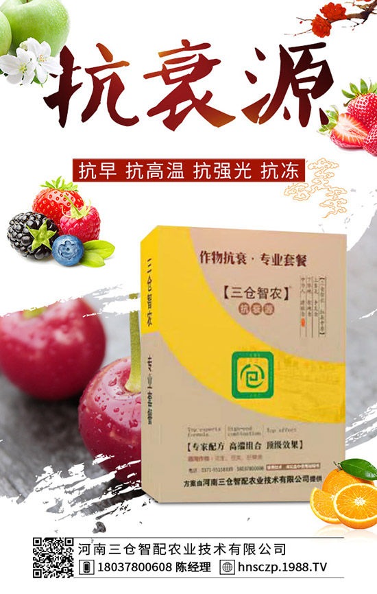 ���·��m�ϷNֲʲô�߲������·��߲˷Nֲע�������