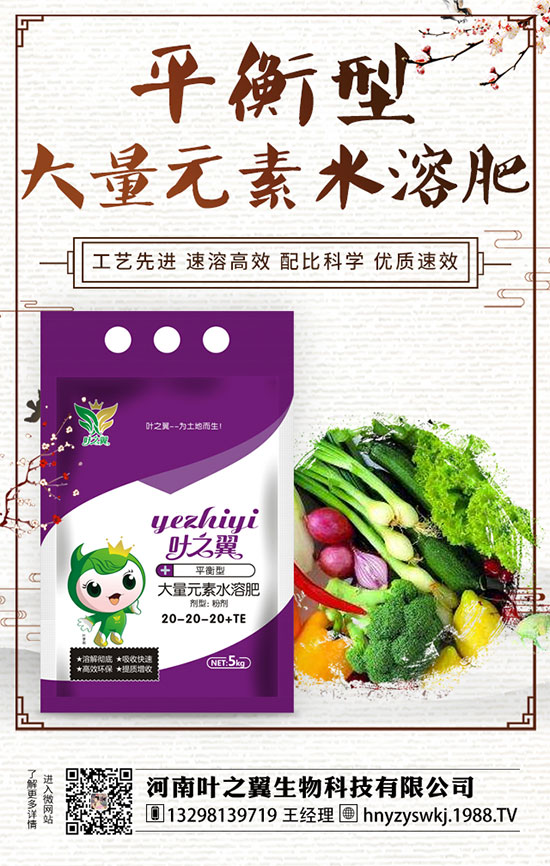 ĵ��ʲô�r(sh��)���_����������Lĵ���_���r(sh��)�g��