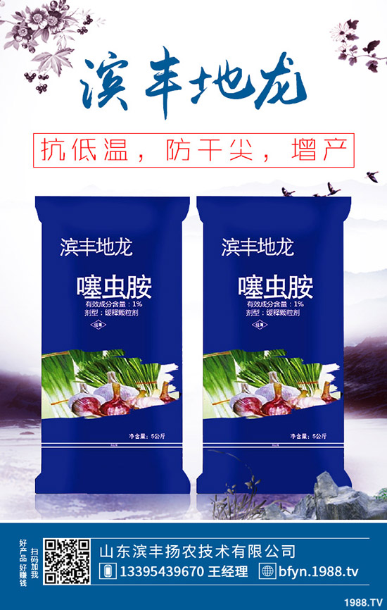     ����������(n��i)��(f��)�Ϸʃr(ji��)���߄ݼ��������u��