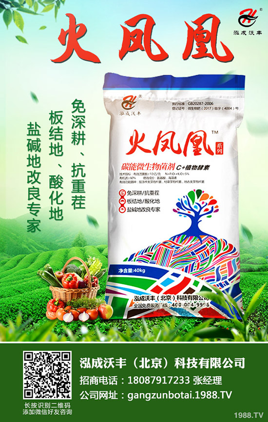 ��Ҋ(ji��n)����(sh��)���ɺ��x(ch��ng)����Щ������(sh��)���ɺ��x(ch��ng)���������