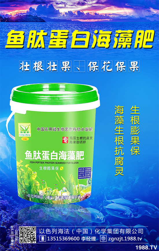 �²�������Ҫ���Ԇ��������²��������Ե�ע�����