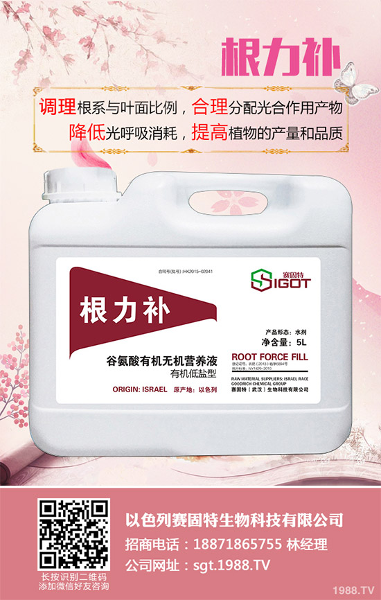 С��������Ҋ(ji��n)�Ĳ�������Щ��ԓ��η��Σ�����С���������η�����B