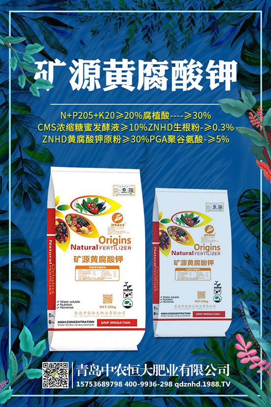 �紺���˷Nֲ���g(sh��)����Щ�����g����Ҫע��ʲô��