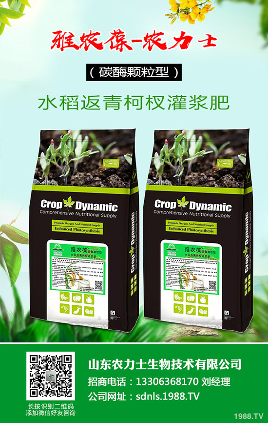     ԭ�Ϻͳɱ����m(x��)�ϝq����(f��)�Ϸ�؛�o�r(ji��)�P(y��ng)�����������߄�(sh��)����2020-3-17��