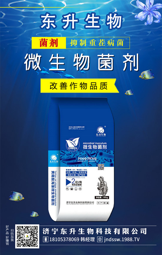 韭菜品種有哪些?韭菜的養(yǎng)殖注意事項!