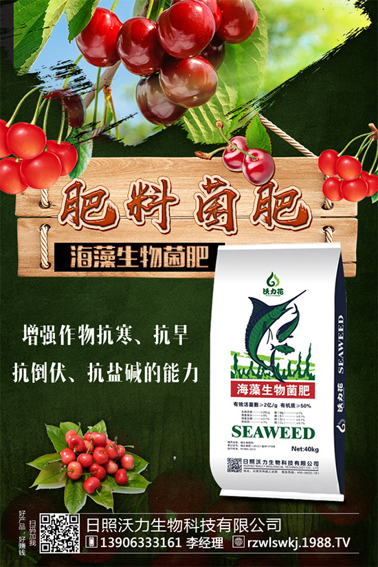 �R���Ј�ǰ����ô�ӣ��R��Nֲ����Ҫ�c����Щ����