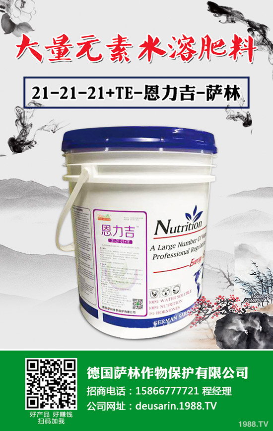 辣椒根腐病有治嗎？辣椒根腐病發(fā)病規(guī)律及防治措施！
