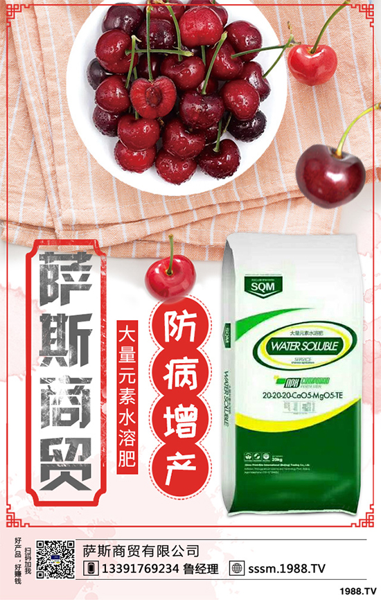 ������ԓ��ηNֲ���紺���׸߮a(ch��n)�Nֲ���g(sh��)Ҫ�c(di��n)