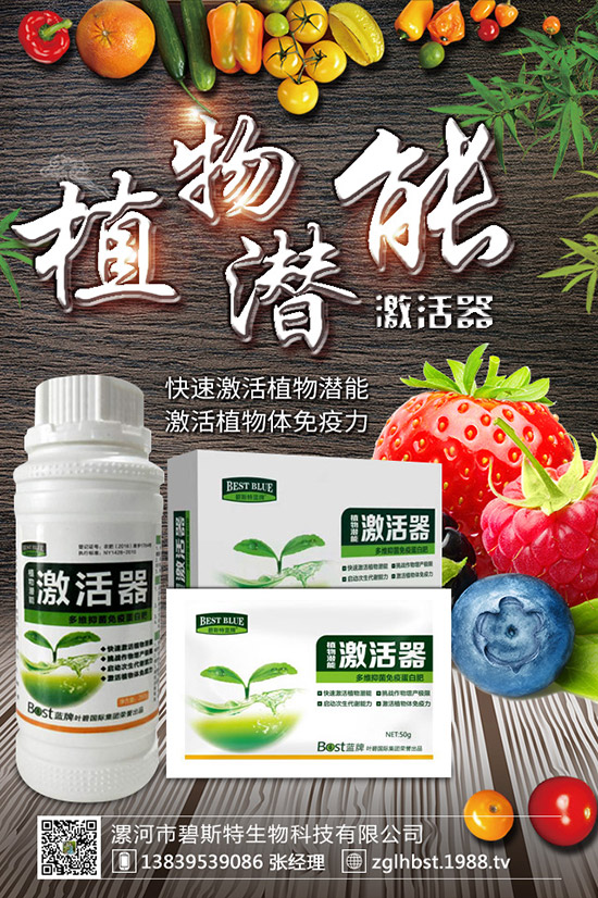 ������ô�N�ɻ��ʸ�������ʲô�r��Nֲ������