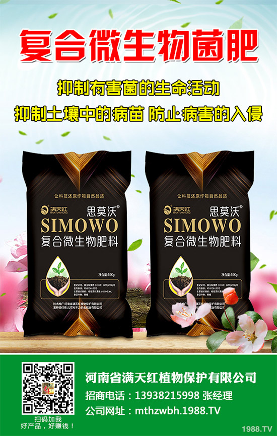 �����������ʩ����2020�괺���׿ƌWʩ�ʽ��h