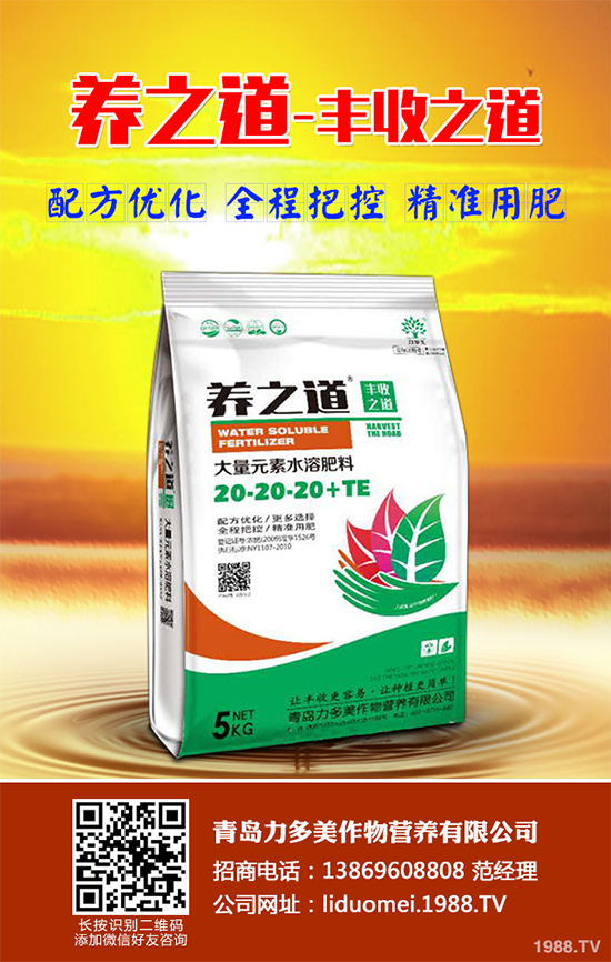 ���{��ԓ��ηNֲ�����{���߮a(ch��n)�Nֲ���g(sh��)Ҫ�c