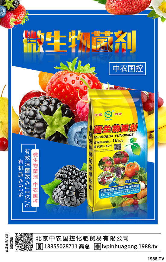 �����ʲô�I(y��ng)�B(y��ng)�r(ji��)ֵ����ϵĹ�Ч��ʳ��ע�����(xi��ng)��