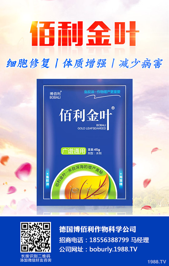 ����(sh��)����A(y��)���ʺ����l(f��)���ʺ�������a(b��)����