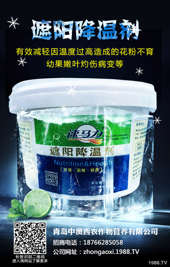 ��Ʒ�|(zh��)��Ҭ����ôʩ�����������@���c(di��n)��