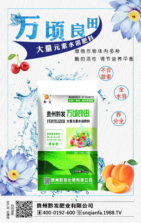 ���m�����缼�g����Щ�����m�������ע�������