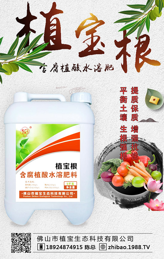 �紺���������Jʲô�r�g�N�������J��ֲ�����Ҫ�c��