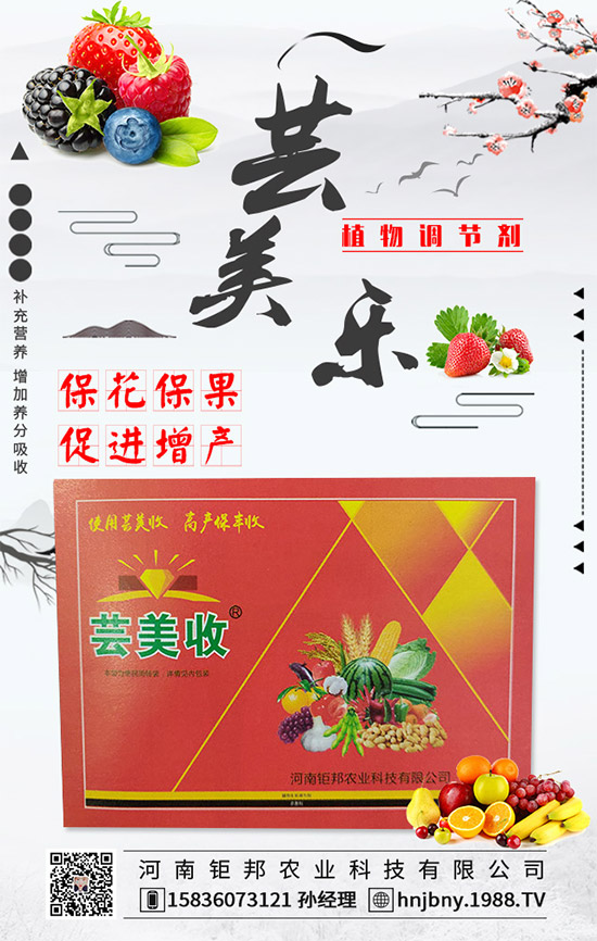 �����׽�����ʲôΣ���������׽����ķ��δ�ʩ��