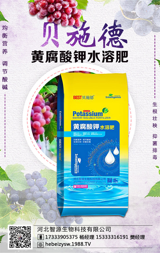 �۲˵ĠI(y��ng)�B(y��ng)�r(ji��)ֵ����Щ�������۲���ʲô��̎��