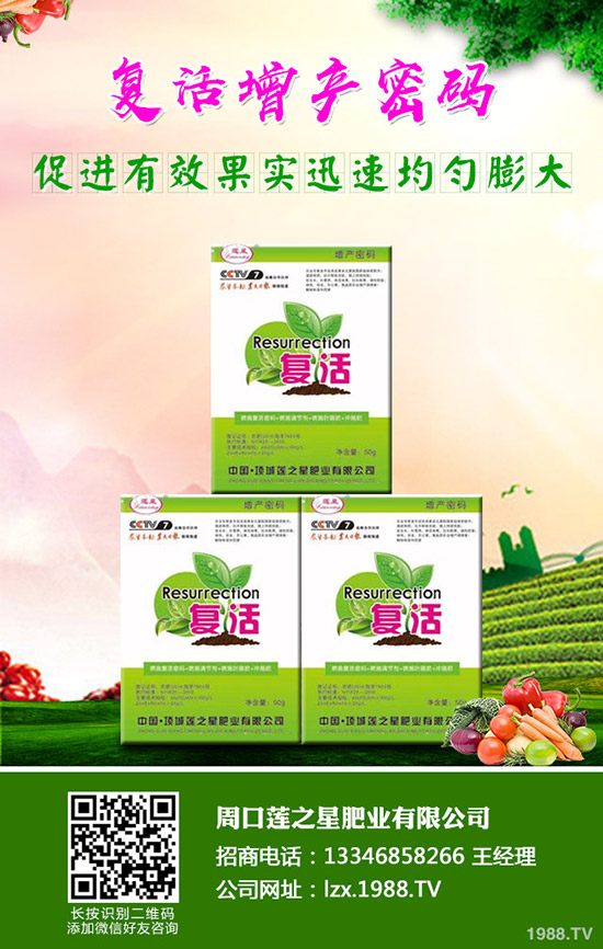 �n�����ʩ�����n����ʲô���Ϻ���