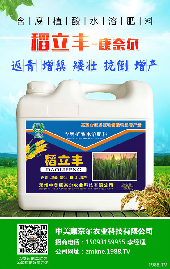 С�����·����������������ж��Ӱ���ԓ����a����С�����·��r(n��ng)��ָ��