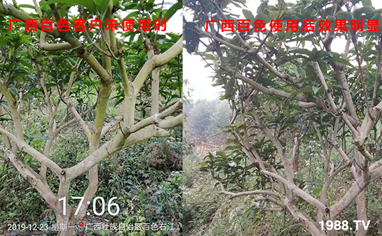 �V����ɫ�͑�δʹ�Õr(sh��)��ʹ�ú�Ч�����@��