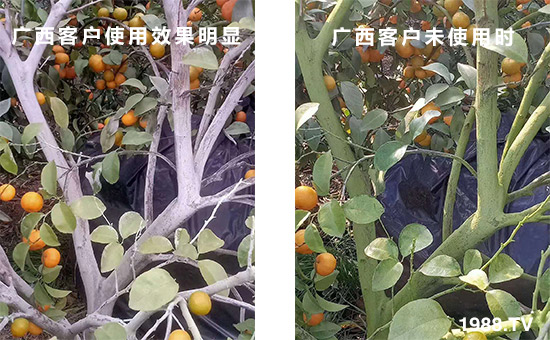 �V���͑�ʹ��Ч�����@��δʹ�Õr(sh��)��