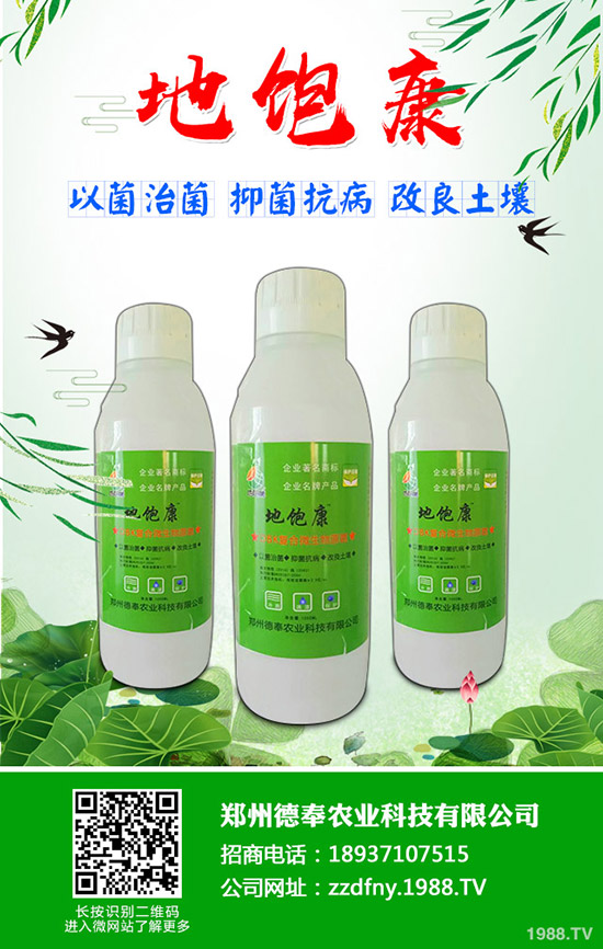 �ϹϺ��ǲ�����Щ�Y��ϹϺ��ǲ����η���