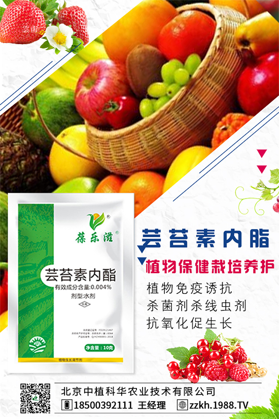 ���Ҫ��ô�Nֲ�����ˮ�ʹ���Ҫ�c(di��n)��