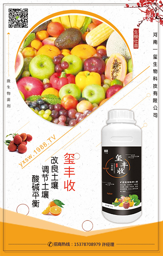 ��������ô�Nֲ��������Nֲ���g(sh��)��