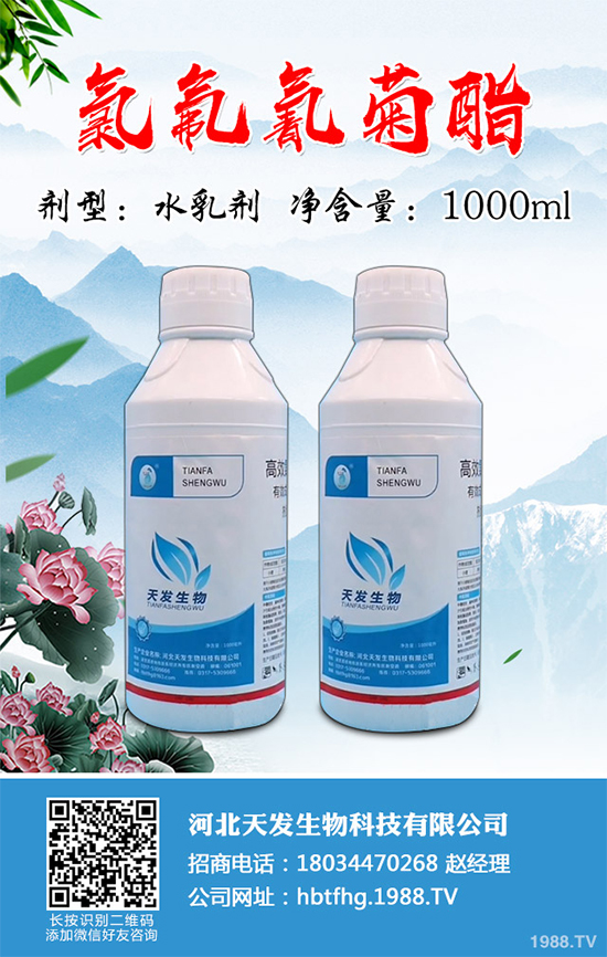 ��(gu��)��(n��i)���x(ch��ng)���r(ji��)�������߄�(sh��)