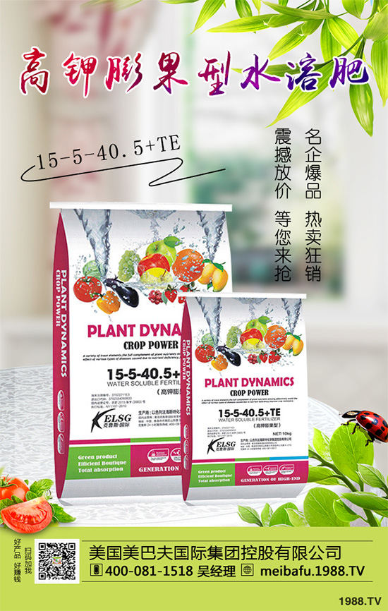 �ϹϷ��Ďׂ�(g��)���L�A�����Ϲό��������I�B(y��ng)Ҫ��