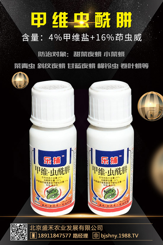 С���t֩��İl(f��)��Ҏ(gu��)������Щ��С���t֩����δ�ʩ��