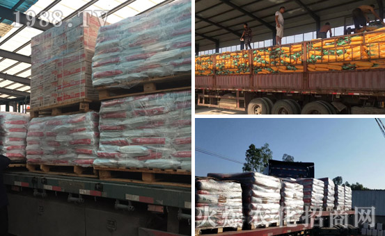 ��ɫ�к������W(xu��)���I(y��)��˾