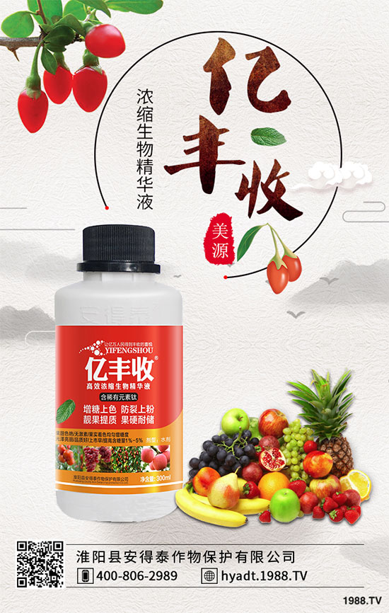 ɽ������ôǤ�己ֳ��ɽ��������μ޽���