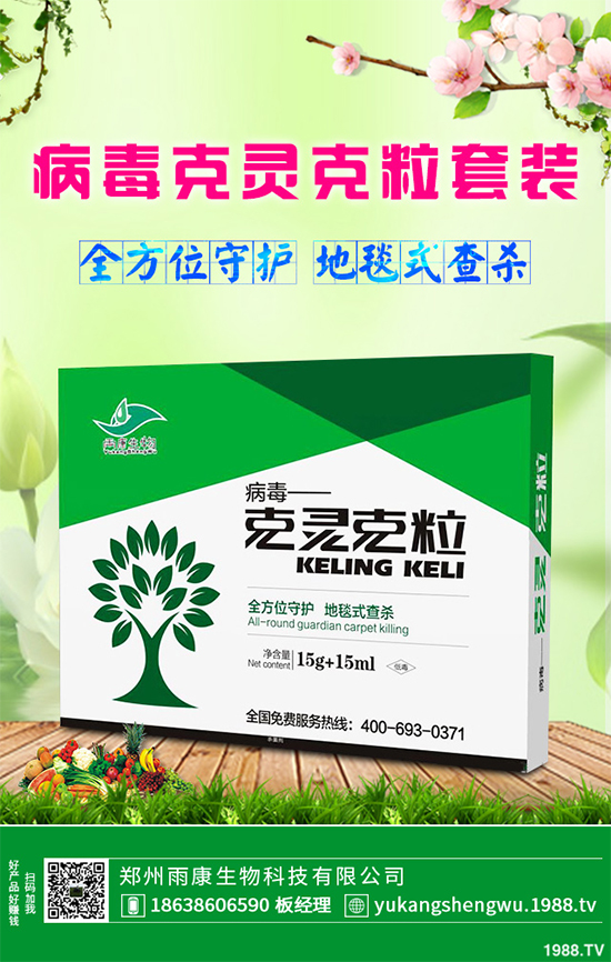 �W�ˌ�Ҫ���á���ɭ�i�\����