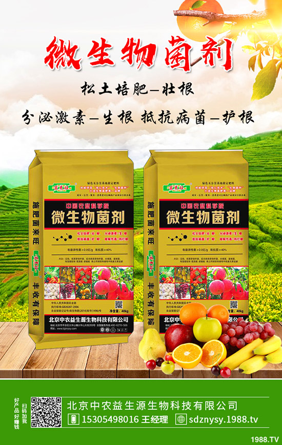     �ͺϷ��Ј���rС���µ�ԇ̽�����ͺϷʃr���������2020-4-15��